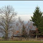 Nebelmeer über dem Bodensee