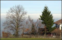 Nebelmeer über dem Bodensee