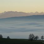 Nebelmeer über dem Reusstal (1)