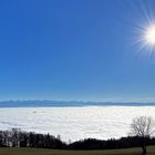 Nebelmeer über dem Schweizerischen Mittelland 
