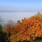 Nebelmeer über dem See