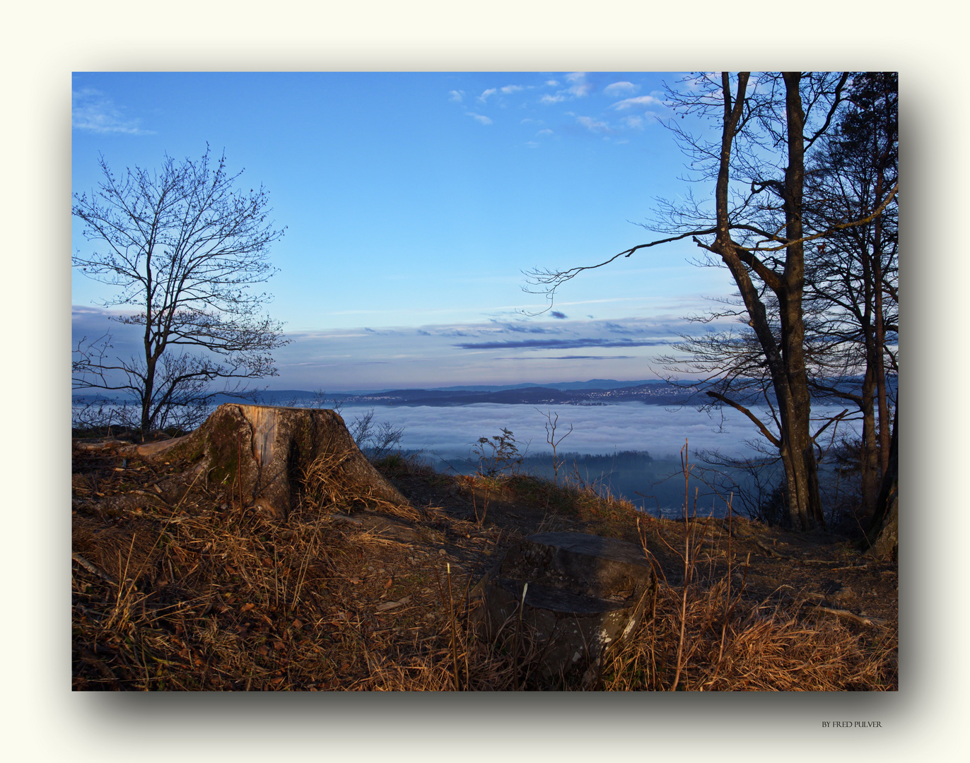 Nebelmeer über dem Zürichsee