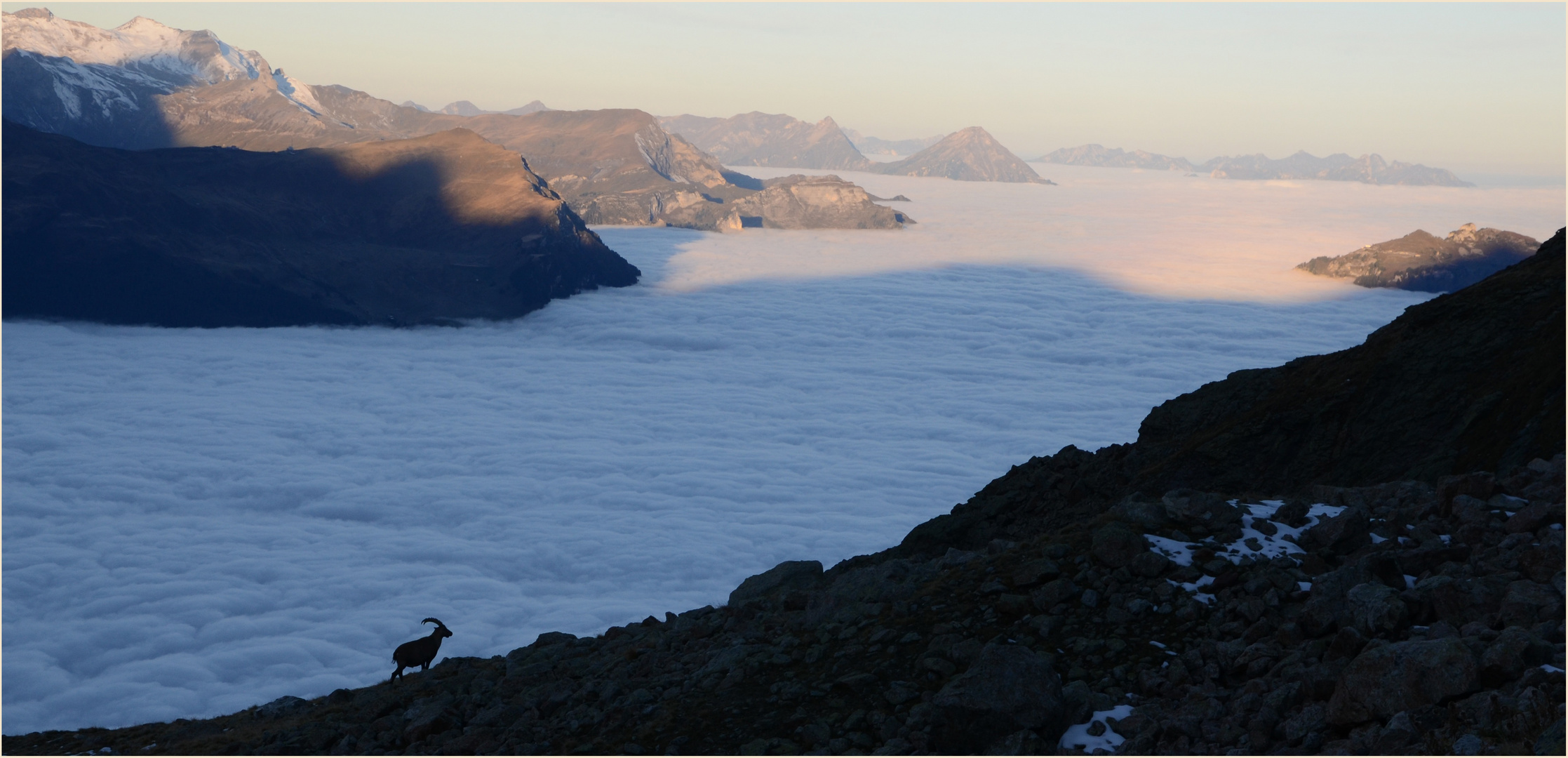 Nebelmeer über Grindelwald