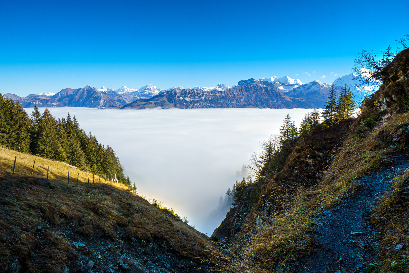 Nebelmeer über Kandertal