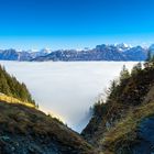 Nebelmeer über Kandertal