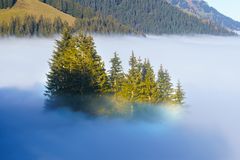 Nebelmeer über Kandertal