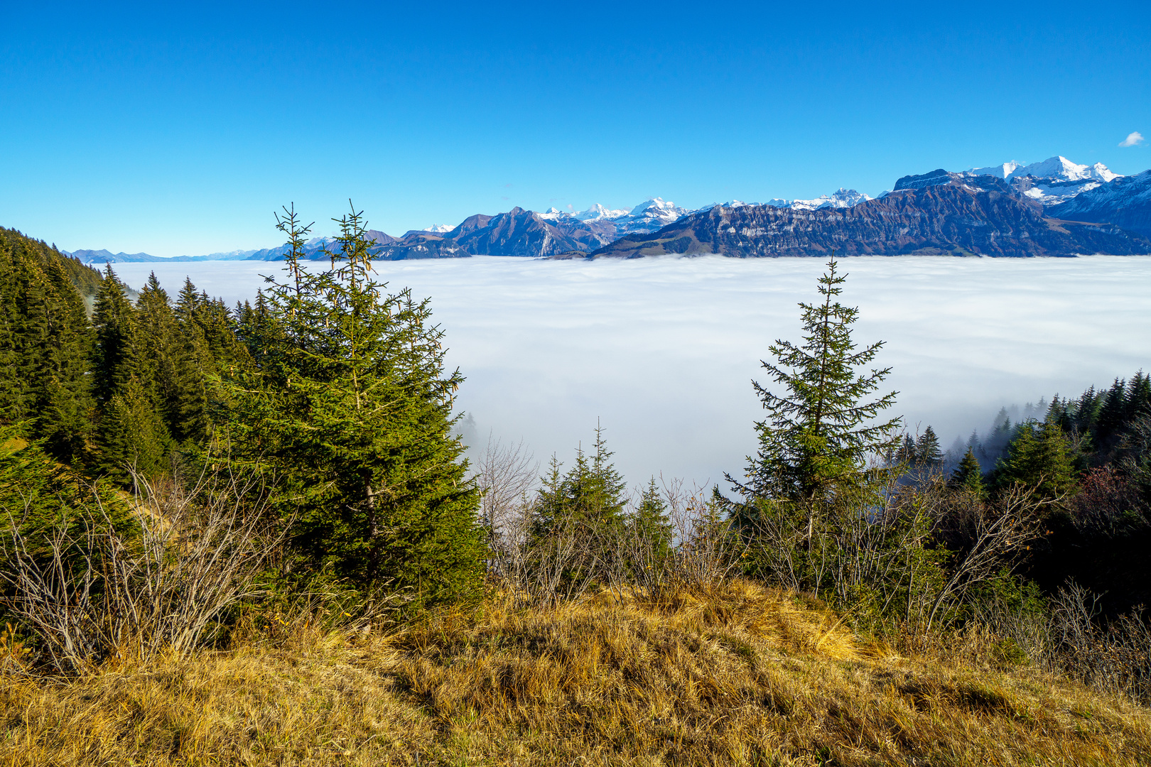 Nebelmeer über Kandertal