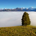 Nebelmeer über Kandertal