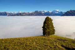 Nebelmeer über Kandertal