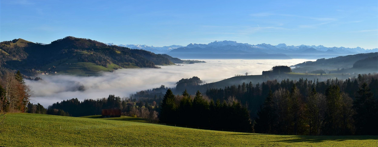 Nebelmeer und die Alpen