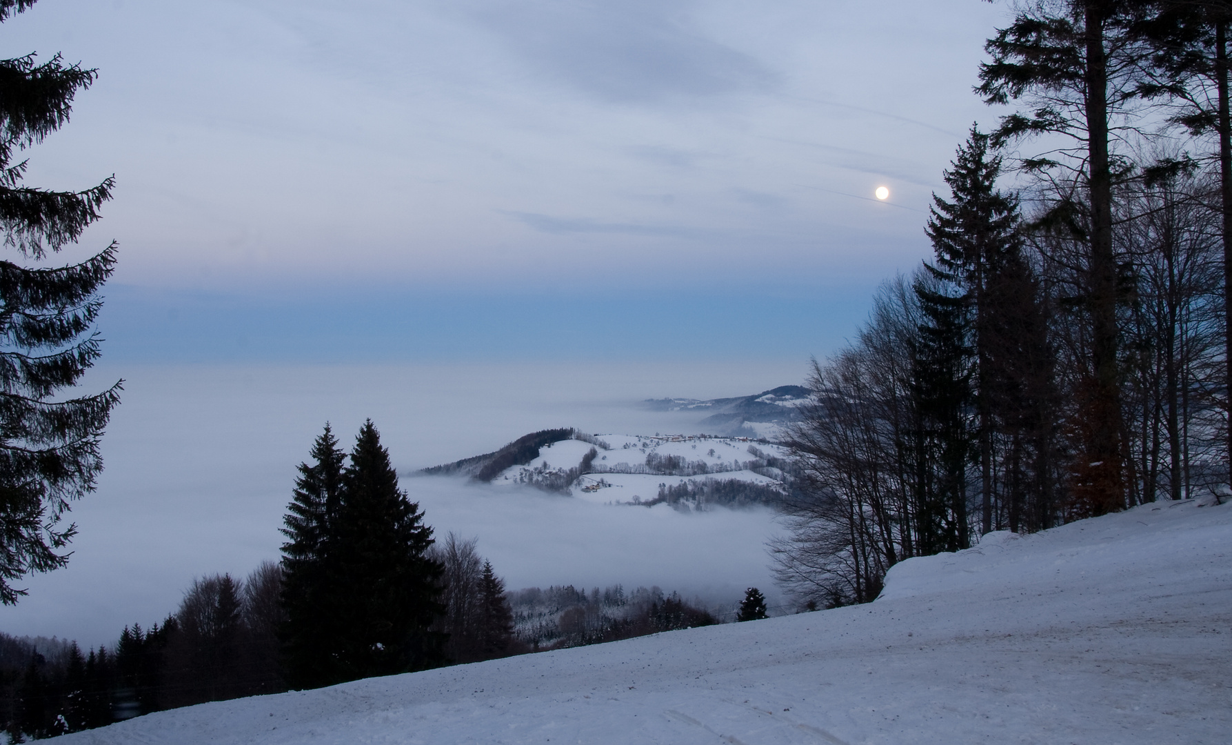 Nebelmeer und Mondlicht