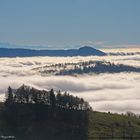 Nebelmeer Vogelberg / Passwang