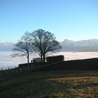 Nebelmeer vom Längenberg