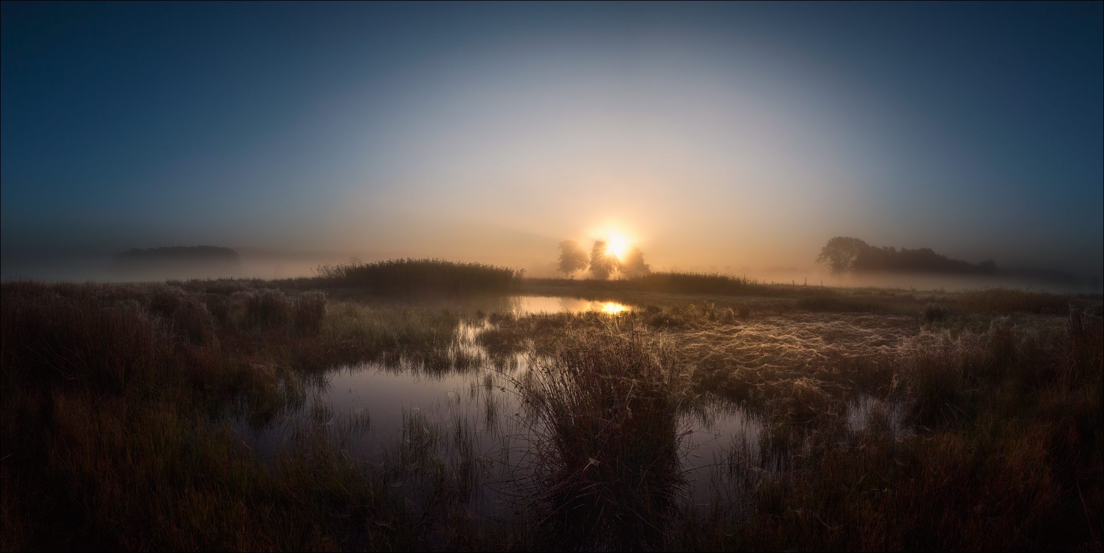 * Nebelmorgen *