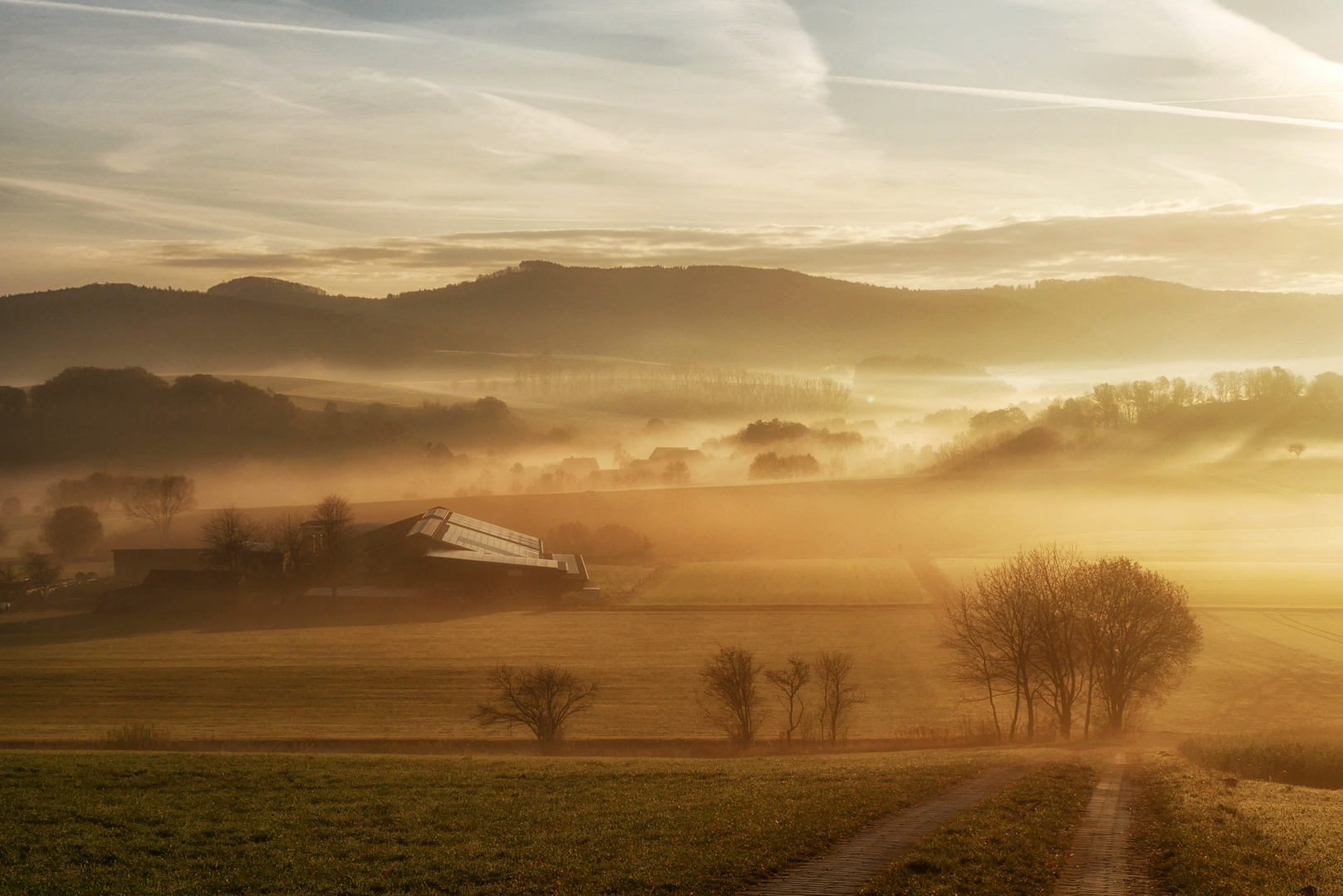 Nebelmorgen...