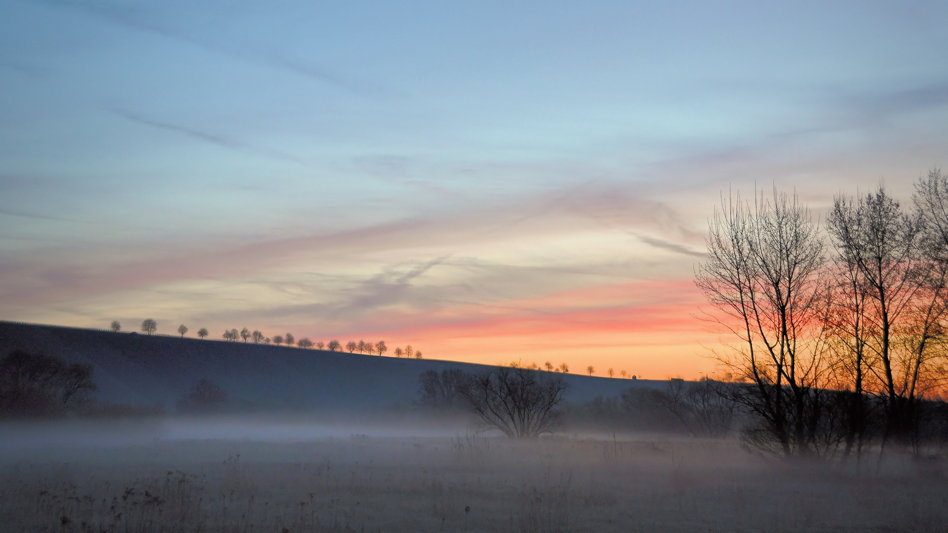 Nebelmorgen