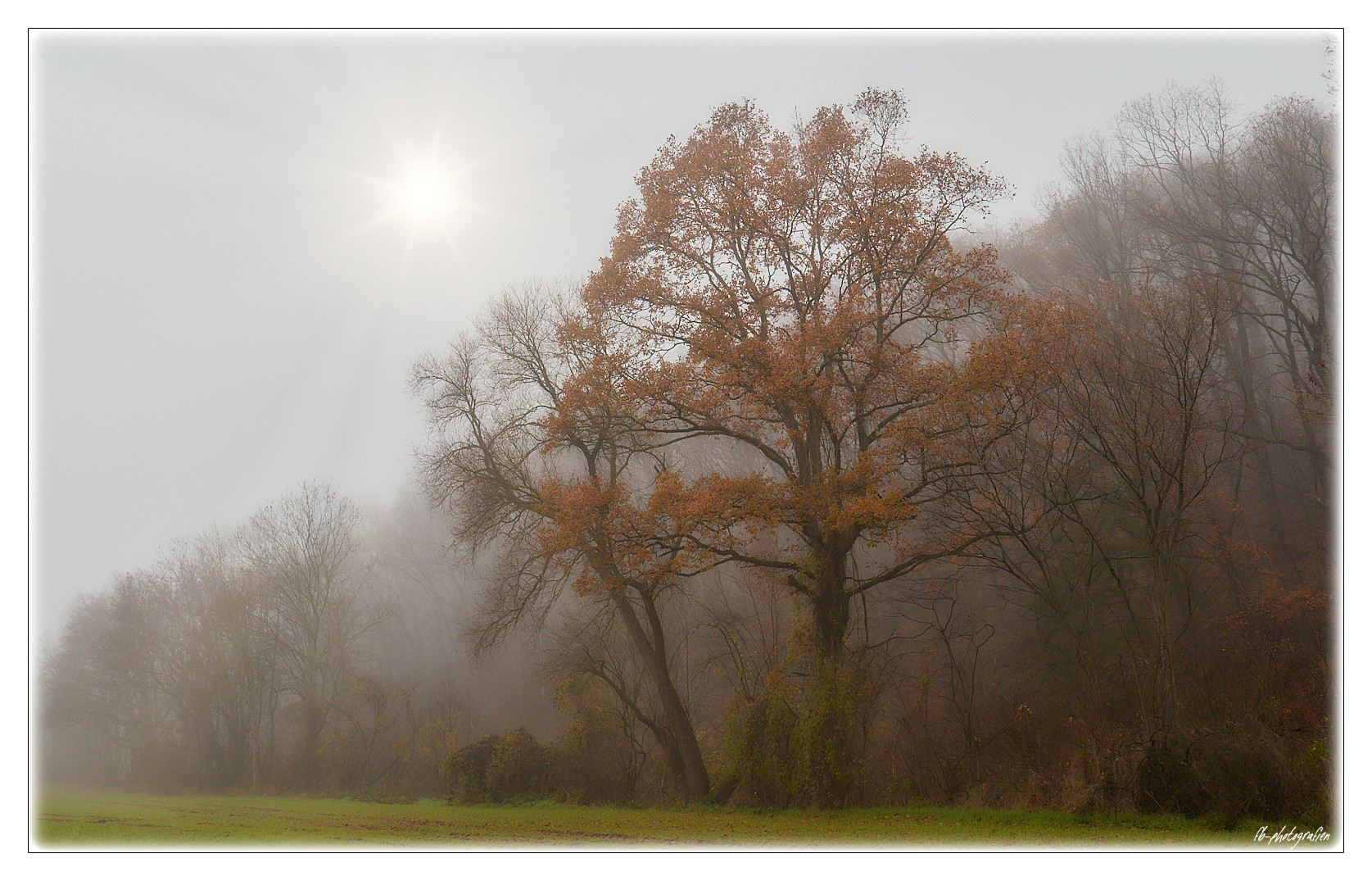 Nebelmorgen