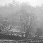 Nebelmorgen