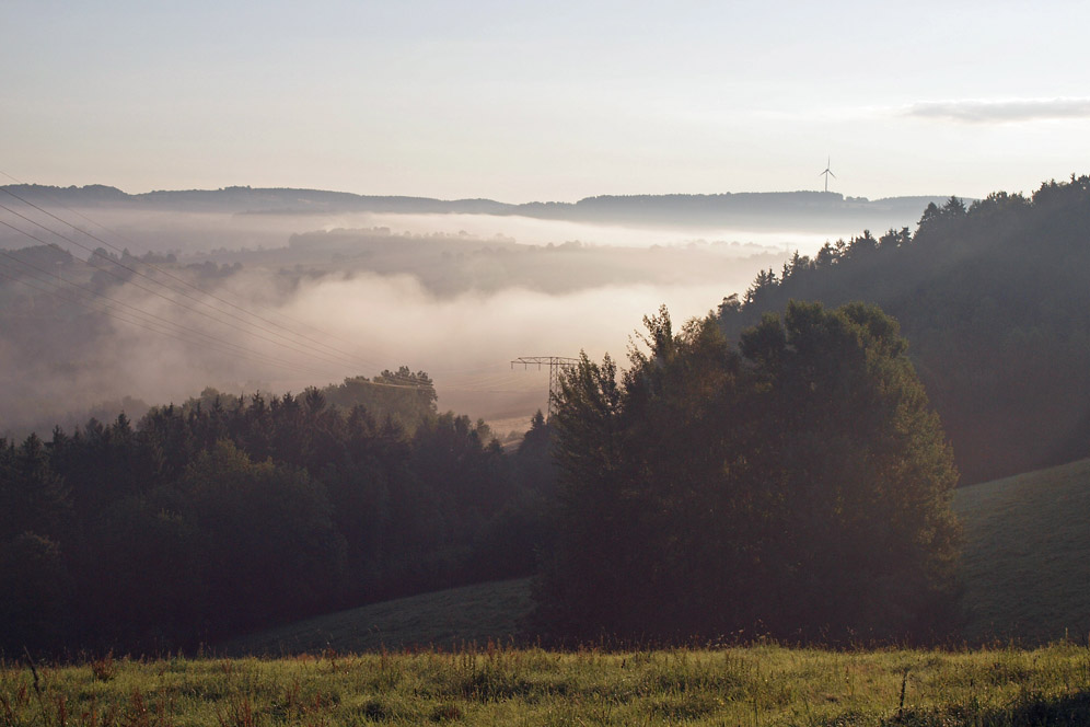 Nebelmorgen