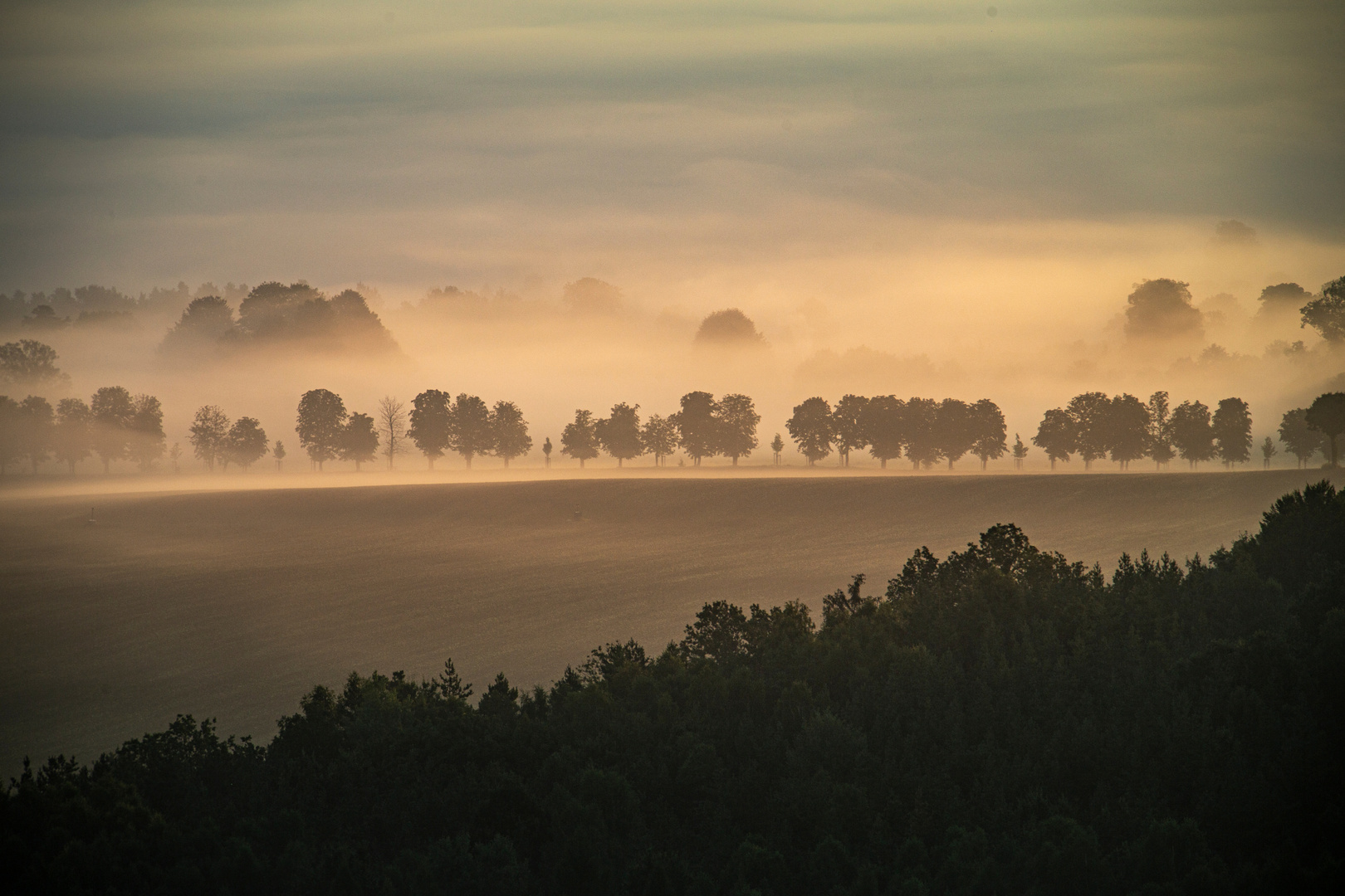 Nebelmorgen