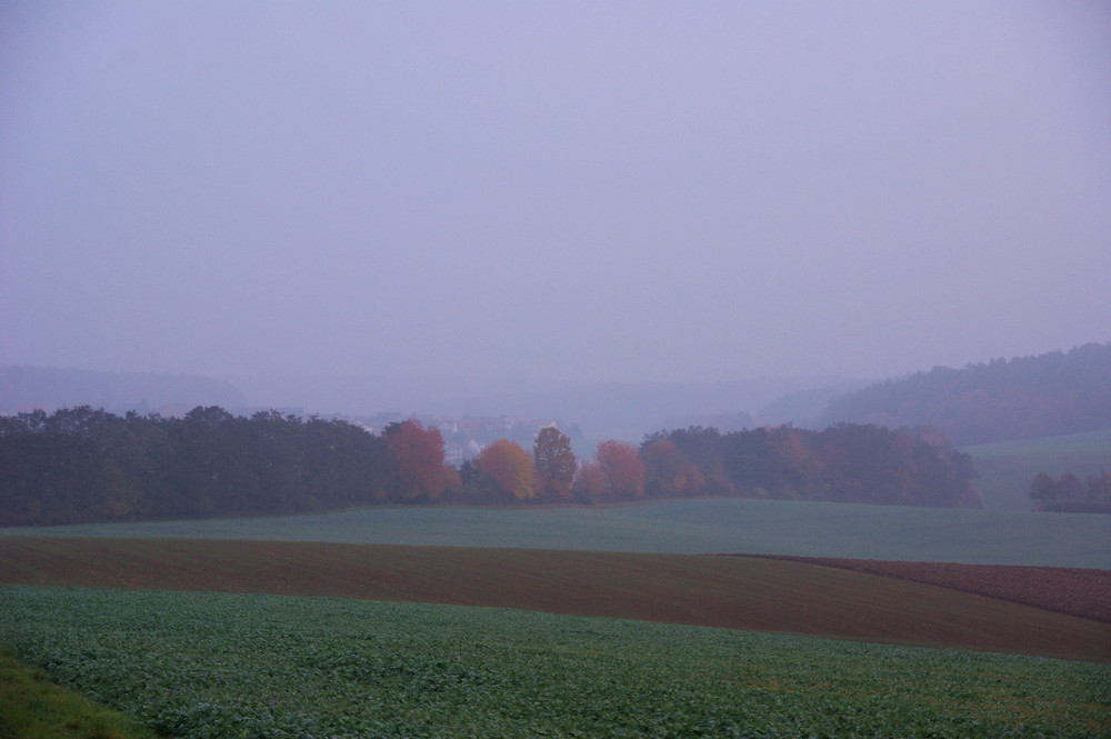 Nebelmorgen