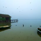 Nebelmorgen am Ammersee