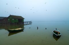 Nebelmorgen am Ammersee