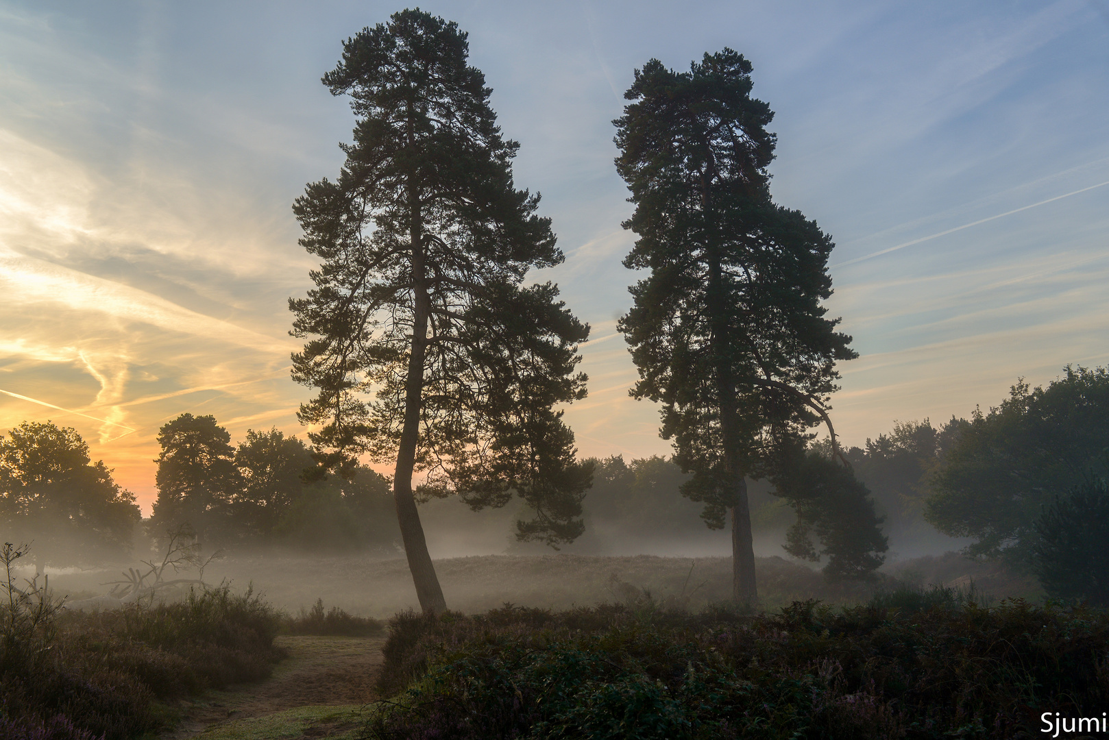 Nebelmorgen am Fliegenberg