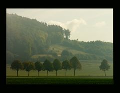 Nebelmorgen am Friedberg... - oder: transparente Formen- Komposition...