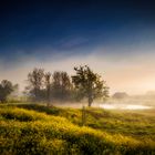 Nebelmorgen am Groeneweg