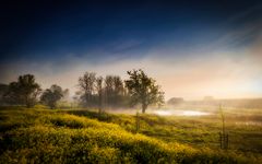 Nebelmorgen am Groeneweg