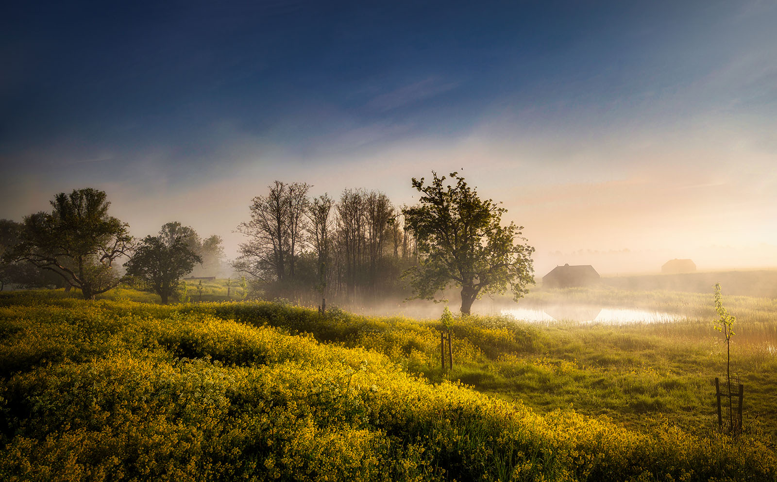 Nebelmorgen am Groeneweg (Reload)