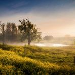 Nebelmorgen am Groeneweg von Karola Hoppe