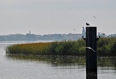 Nebelmorgen am Hafen