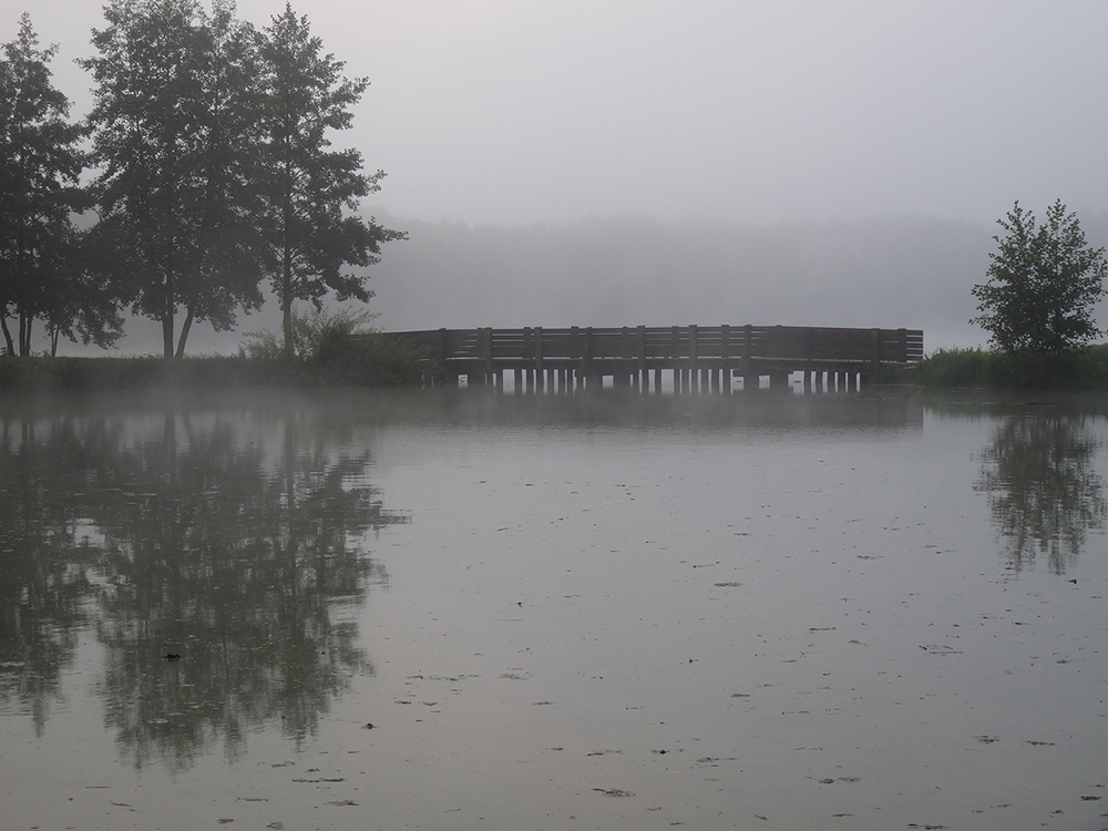 Nebelmorgen am Happurger Baggersee (1)