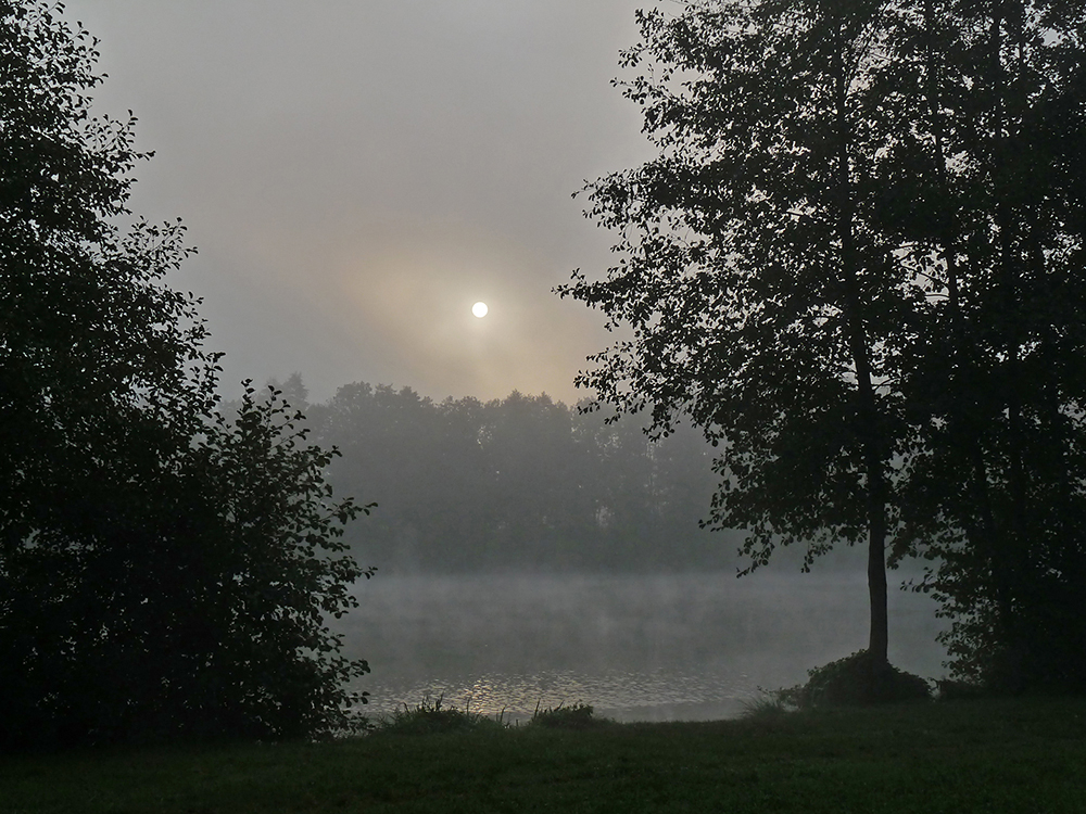 Nebelmorgen am Happurger Baggersee (4)