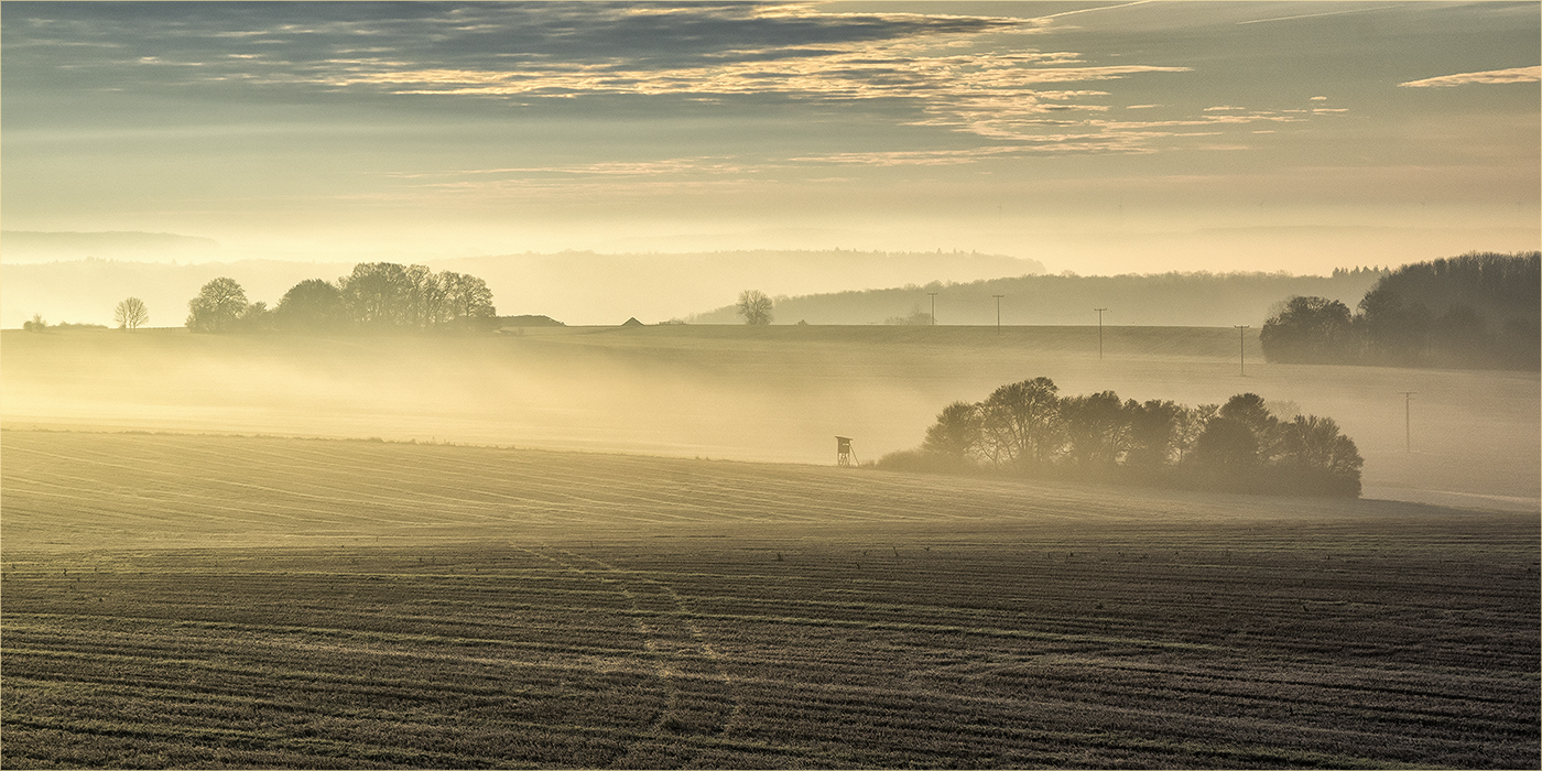 nebelmorgen am heidenkopf