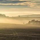 nebelmorgen am heidenkopf