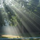 Nebelmorgen am Inselsee (2) - OSO