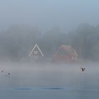 Nebelmorgen am Inselsee (5)