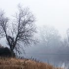 NEBELMORGEN AM KANAL