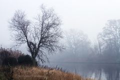 NEBELMORGEN AM KANAL