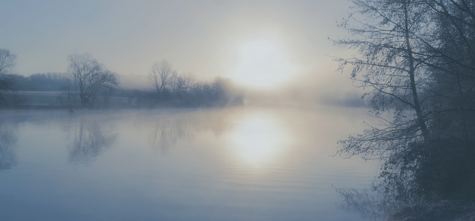 NEBELMORGEN AM NECKAR