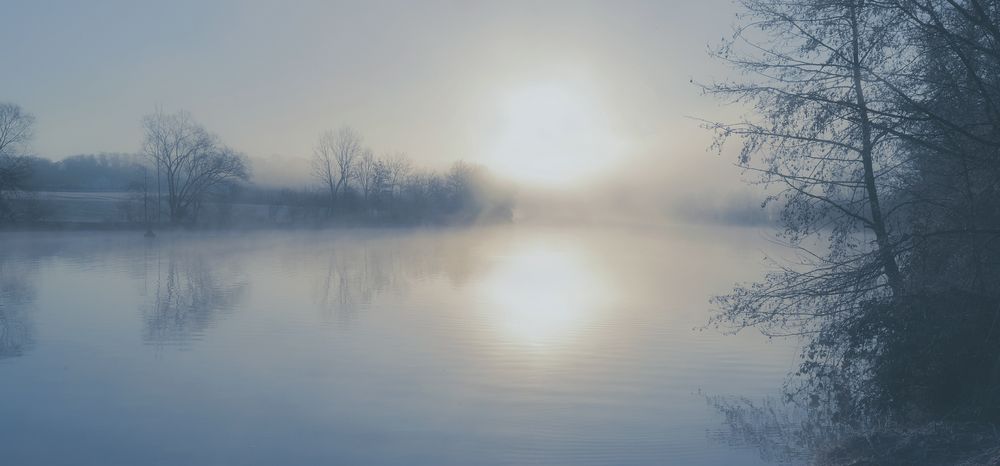 NEBELMORGEN AM NECKAR