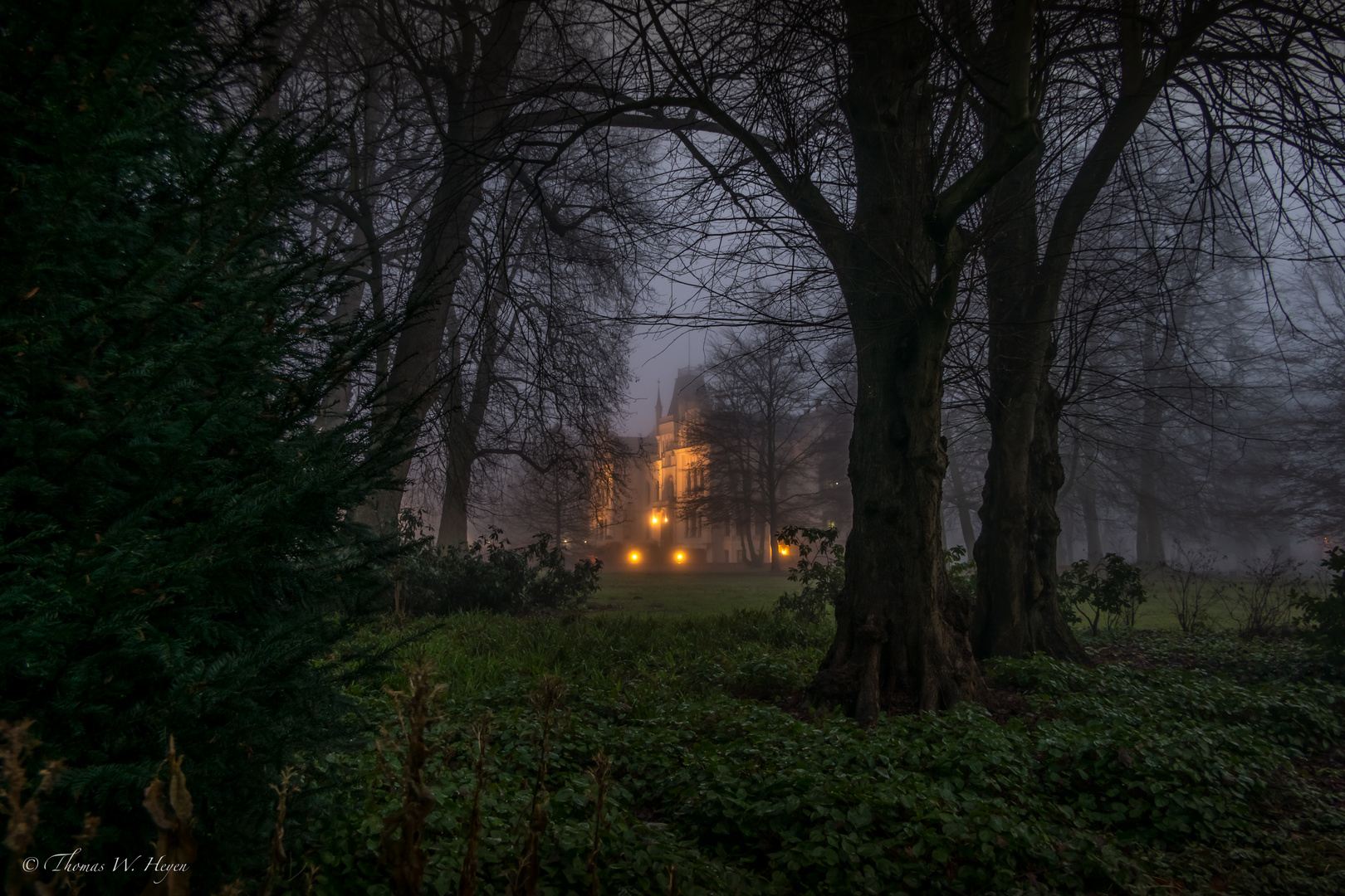 Nebelmorgen am Schloß