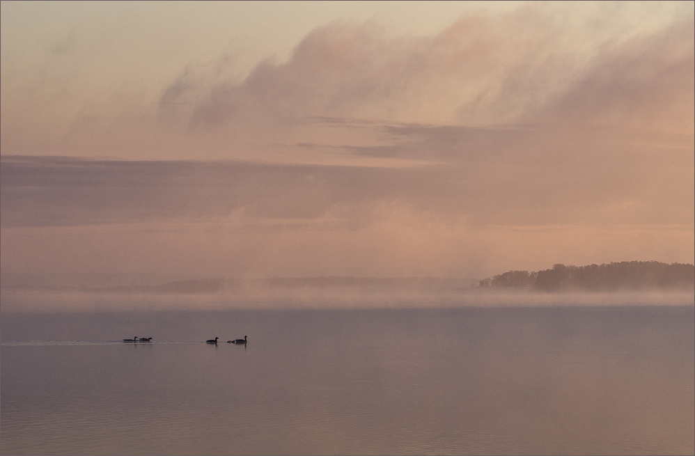 Nebelmorgen am See