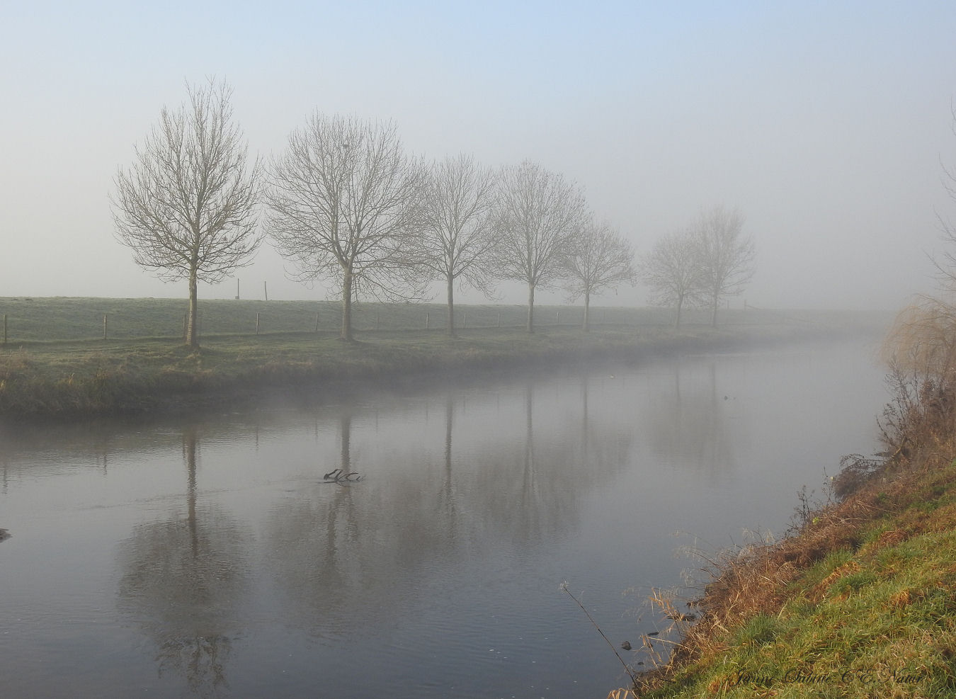 Nebelmorgen am Spiegeltag