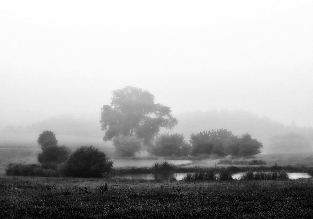 nebelmorgen am weiher