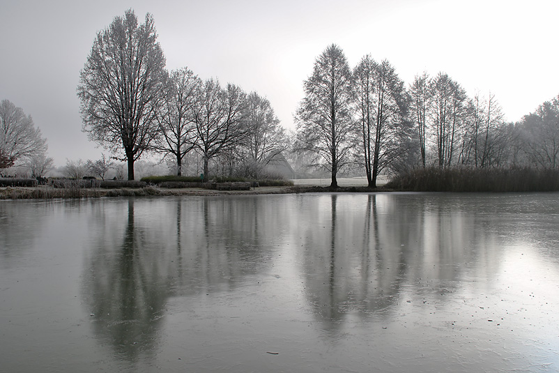 Nebelmorgen am zugefrorenen Weiher