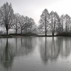 Nebelmorgen am zugefrorenen Weiher